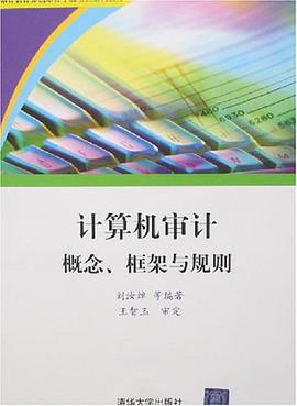 计算机审计概念、框架与规则 pdf epub mobi 电子书 下载