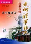 走向清华北大同步导读（下） pdf epub mobi 电子书 下载