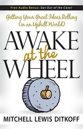 Awake at the Wheel pdf epub mobi 电子书 下载