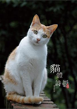 九份∙貓體詩 pdf epub mobi 电子书 下载