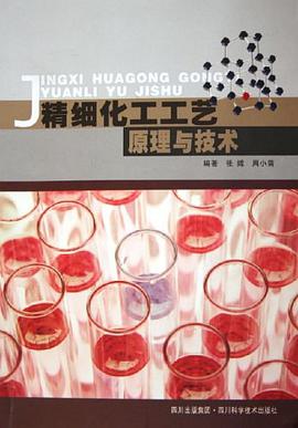 精细化工工艺原理与技术 pdf epub mobi 电子书 下载