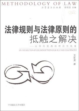 法律规则与法律原则的抵触之解决 pdf epub mobi 电子书 下载