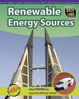 Renewable Energy Sources pdf epub mobi 电子书 下载