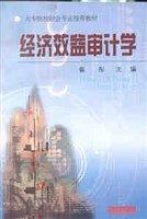 经济效益审计学 pdf epub mobi 下载