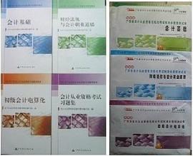 2011年初级会计电算化-会计从业资格考试 pdf epub mobi 电子书 下载
