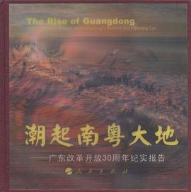 潮起南粤大地 pdf epub mobi 电子书 下载