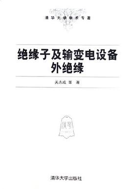 绝缘子及输变电设备外绝缘 pdf epub mobi 电子书 下载