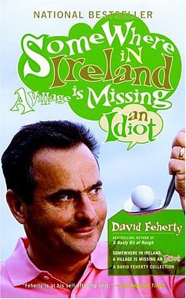 Somewhere in Ireland a Village Is Missing an Idiot pdf epub mobi 电子书 下载