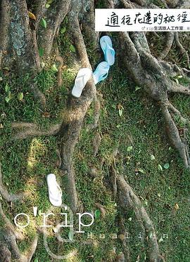 通往花蓮的祕徑 pdf epub mobi 电子书 下载
