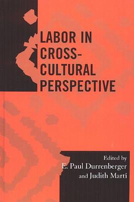 Labor in Cross-Cultural Perspective pdf epub mobi 电子书 下载