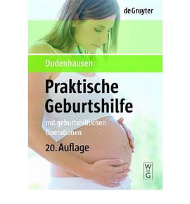 Praktische Geburtshilfe pdf epub mobi 电子书 下载
