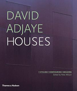 David Adjaye pdf epub mobi 电子书 下载