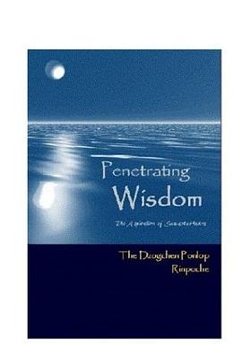 Penetrating Wisdom pdf epub mobi 电子书 下载