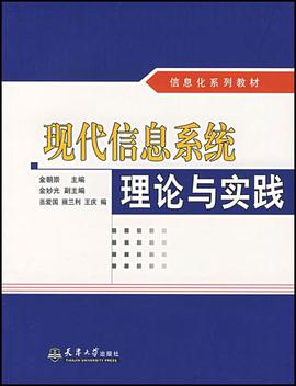 现代信息系统理论与实践 pdf epub mobi 电子书 下载