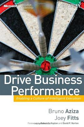 Drive Business Performance pdf epub mobi 电子书 下载