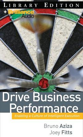 Drive Business Performance pdf epub mobi 电子书 下载