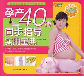 孕产40周同步指导实用宝典 pdf epub mobi 电子书 下载