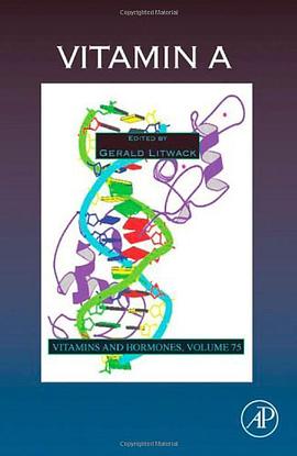 Vitamin A pdf epub mobi 电子书 下载