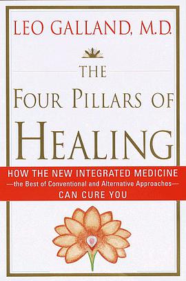 THE FOUR PILLARS OF HEALING pdf epub mobi 电子书 下载