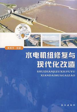 水电机组修复与现代化改造 pdf epub mobi 电子书 下载