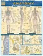 Anatomy pdf epub mobi 电子书 下载