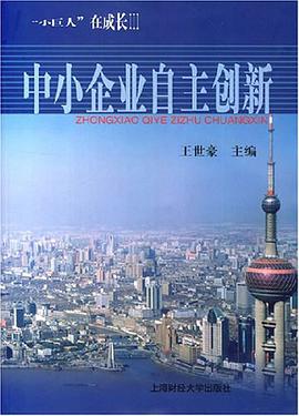 中小企业自主创新 pdf epub mobi 电子书 下载