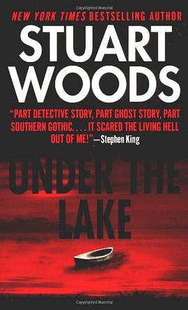 Under the Lake pdf epub mobi 电子书 下载
