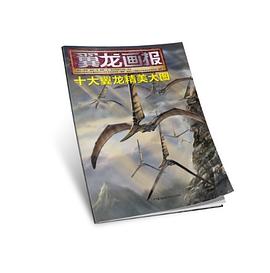 翼龙画报 pdf epub mobi 电子书 下载