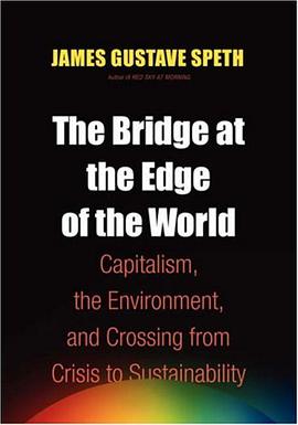 The Bridge at the End of the World pdf epub mobi 电子书 下载