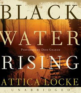Black Water Rising CD pdf epub mobi 电子书 下载