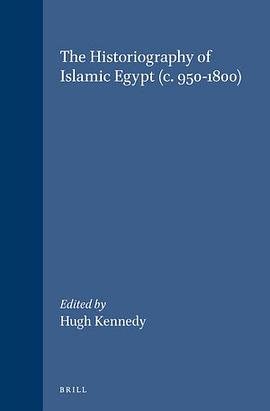 The Historiography of Islamic Egypt (c. 950-1800) pdf epub mobi 电子书 下载