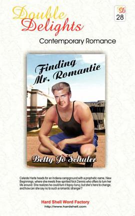 Finding Mr. Romantic / Love in a Small Town - DD#28 pdf epub mobi 电子书 下载