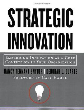 Strategic Innovation pdf epub mobi 下载