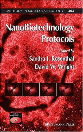 Nanobiotechnology Protocols pdf epub mobi 电子书 下载
