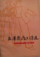 瓦普察洛夫诗选 pdf epub mobi 电子书 下载
