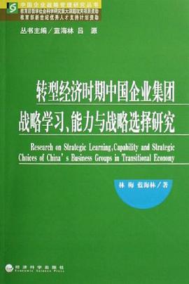 转型经济时期中国企业集团战略学习、能力与战略选择研究 pdf epub mobi 电子书 下载