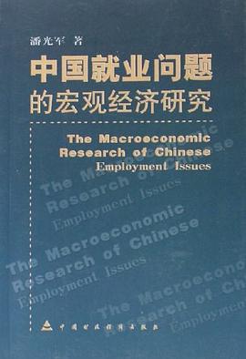中国就业问题的宏观经济研究