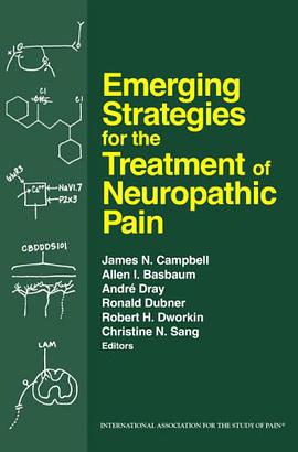 Emerging Strategies for the Treatment of Neuropathic Pain pdf epub mobi 电子书 下载