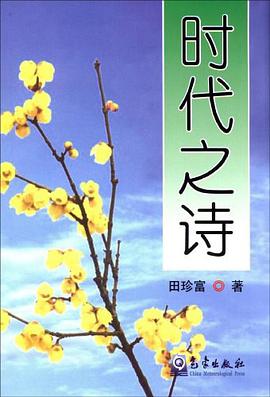 时代之诗 pdf epub mobi 电子书 下载