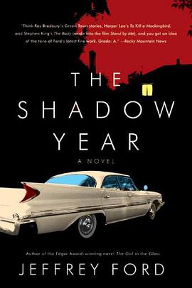 The Shadow Year pdf epub mobi 电子书 下载