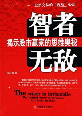 智者无敌 pdf epub mobi 电子书 下载
