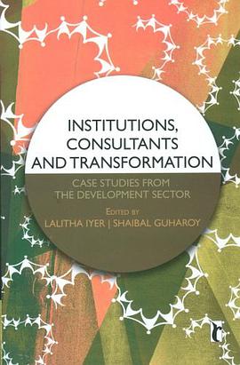 Institutions, Consultants and Transformation