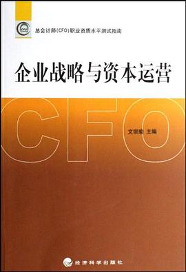 企业战略与资本运营 pdf epub mobi 电子书 下载
