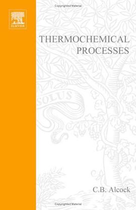 Thermochemical Processes pdf epub mobi 电子书 下载