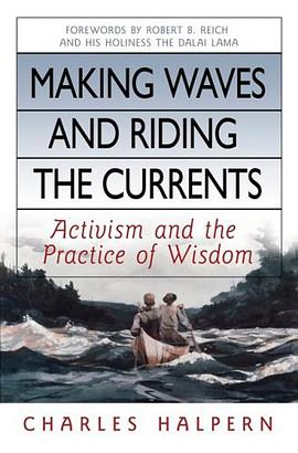 Making Waves and Riding the Currents pdf epub mobi 电子书 下载