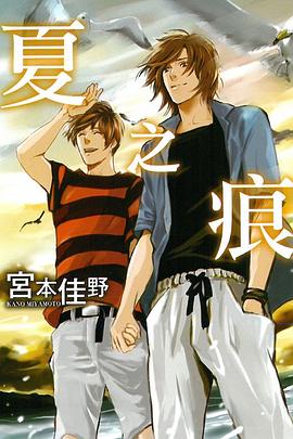 夏之痕 pdf epub mobi 电子书 下载