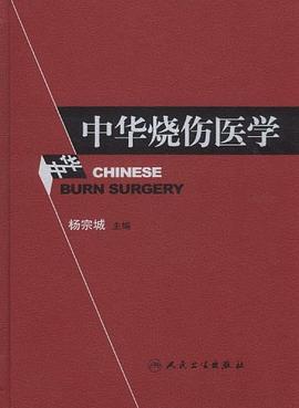中华烧伤医学 pdf epub mobi 电子书 下载