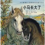 小馬長大瞭 pdf epub mobi 電子書 下載