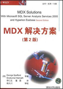 MDX解决方案 pdf epub mobi 电子书 下载