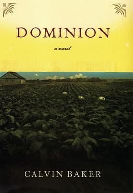 Dominion pdf epub mobi 电子书 下载